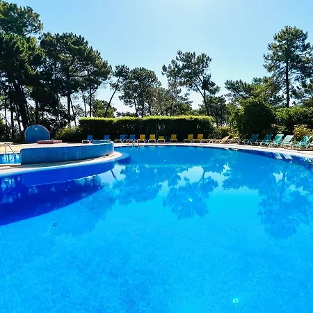 Daire Golden Blue Falesia