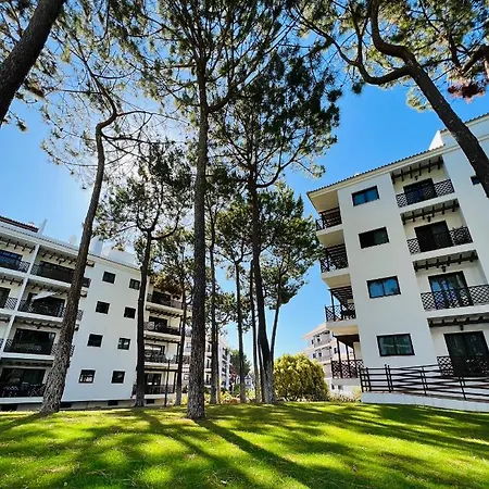 Golden Blue Falesia *